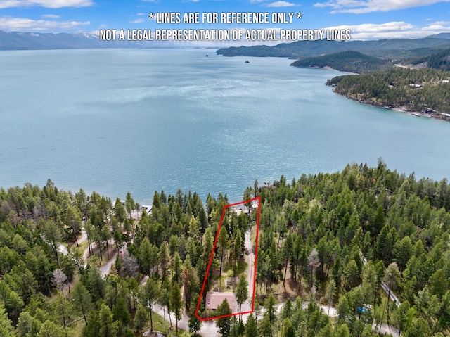 birds eye view of property with a water and mountain view and a forest view