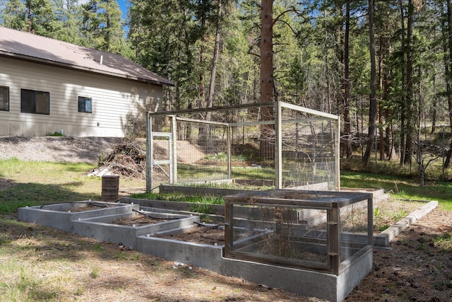 view of yard with a garden