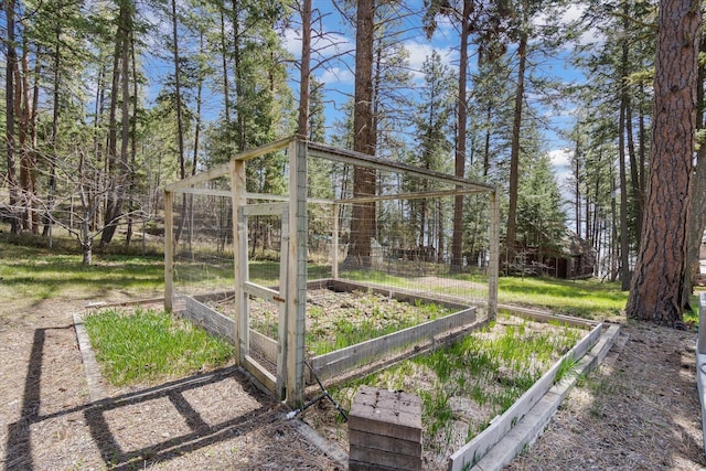 view of yard featuring a vegetable garden