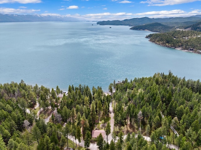 aerial view with a water and mountain view