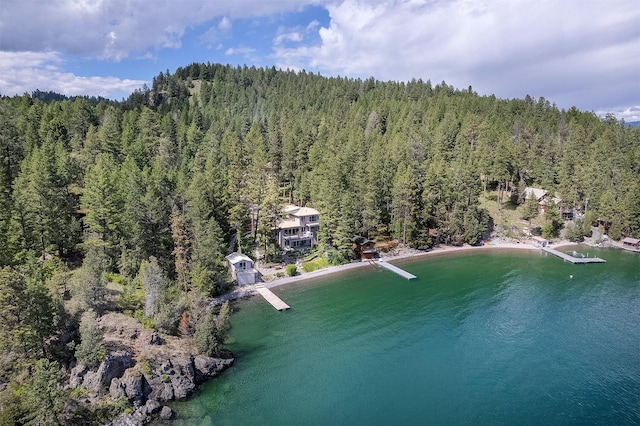 aerial view with a water view and a view of trees