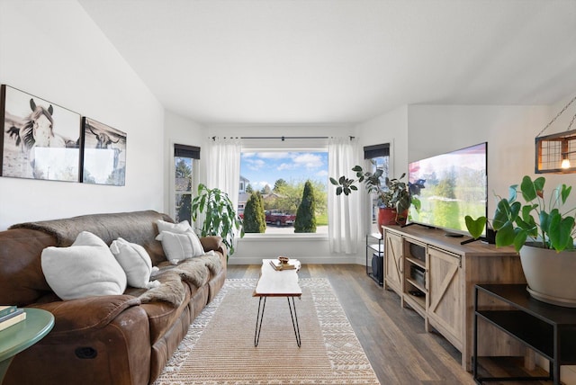 living room with wood finished floors