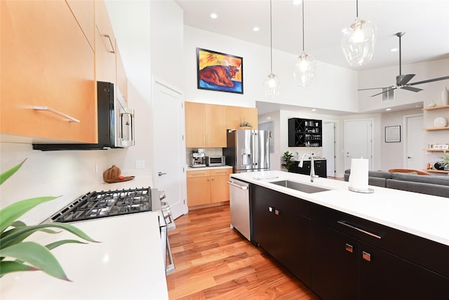 2 Mahonia Ct, Plains, MT 59859 - kitchen with light wood-style flooring, a sink, open floor plan, light countertops, and appliances with stainless steel finishes