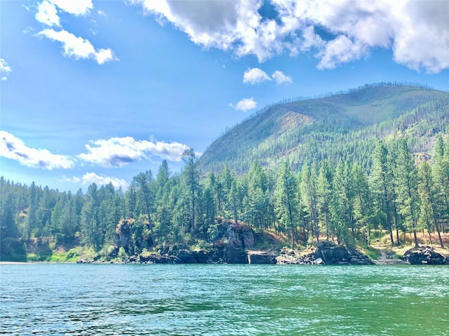 2 Mahonia Ct, Plains, MT 59859 - water view with a wooded view and a mountain view