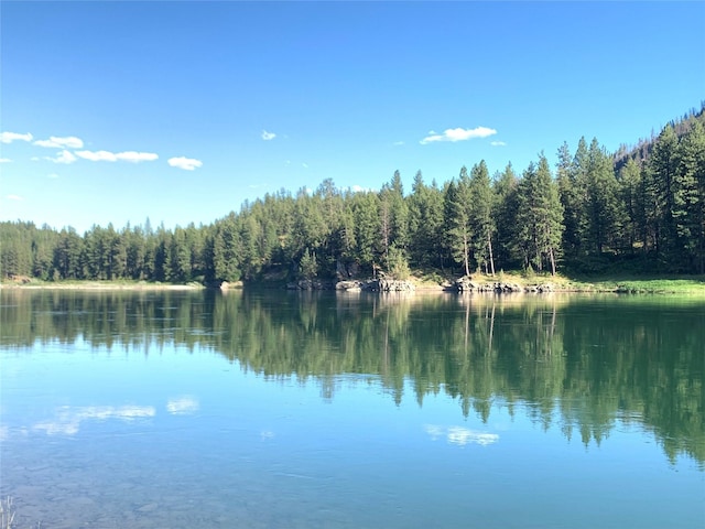 2 Mahonia Ct, Plains, MT 59859 - property view of water with a forest view