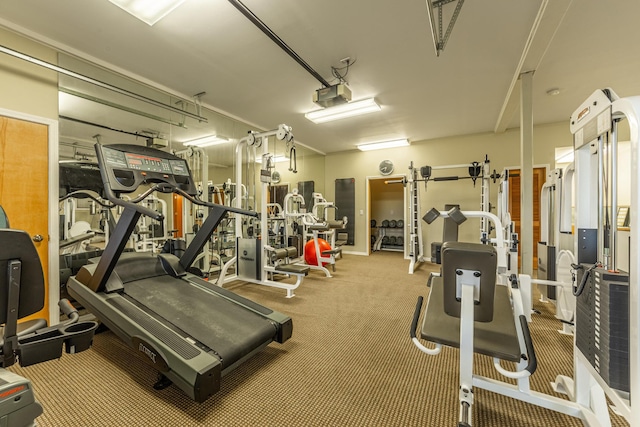420 Deer Creek Rd, Lakeside, MT 59922 - gym featuring carpet