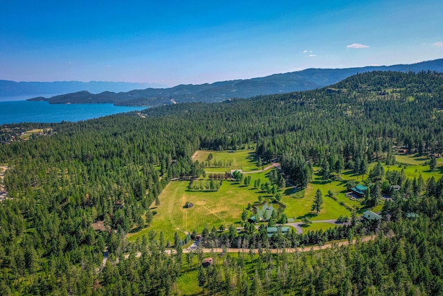 420 Deer Creek Rd, Lakeside, MT 59922