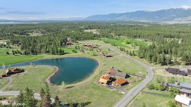 birds eye view of property featuring a water and mountain view and a view of trees
