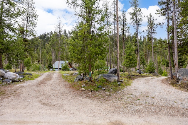 1441 Bonanza Dr, Sula, MT 59871 - view of dirt / gravel driveway featuring a forest view