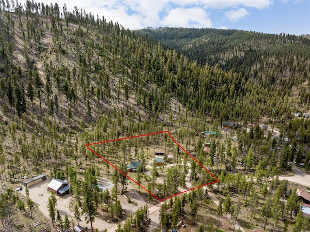 1441 Bonanza Dr, Sula, MT 59871 - view of property location featuring a heavily wooded area and property boundaries highlighted