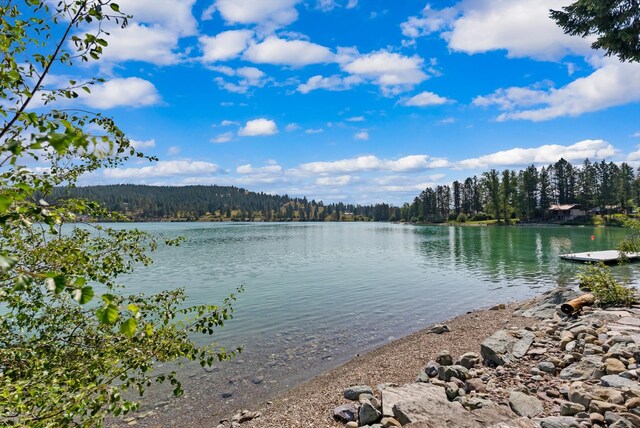 662 S Foys Lake Dr, Kalispell, MT 59901 - water view featuring a heavily wooded area