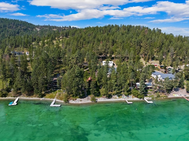 662 S Foys Lake Dr, Kalispell, MT 59901 - aerial overview of property's location with a heavily wooded area and a nearby body of water