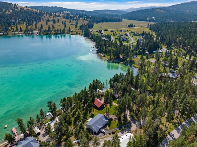 662 S Foys Lake Dr, Kalispell, MT 59901 - aerial view of property and surrounding area featuring a water and mountain view