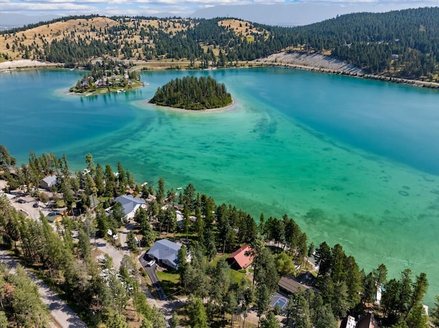 662 S Foys Lake Dr, Kalispell, MT 59901 - drone / aerial view of a heavily wooded area and a nearby body of water