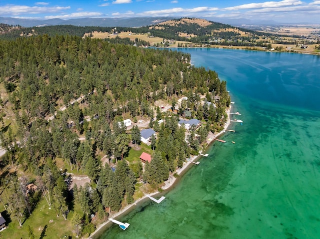662 S Foys Lake Dr, Kalispell, MT 59901 - view of property location with a forest and a large body of water