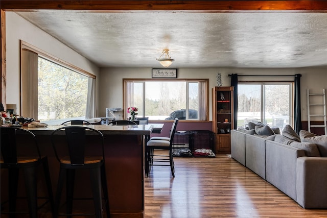 interior space with wood finished floors