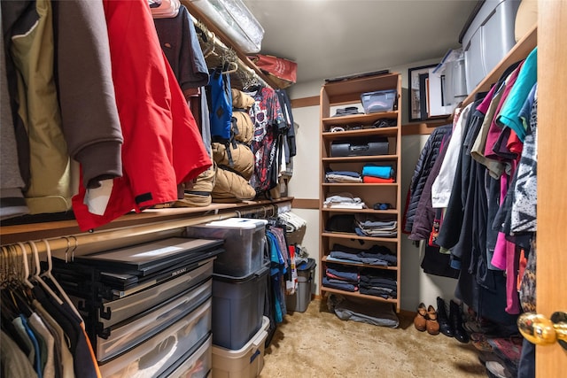 view of walk in closet
