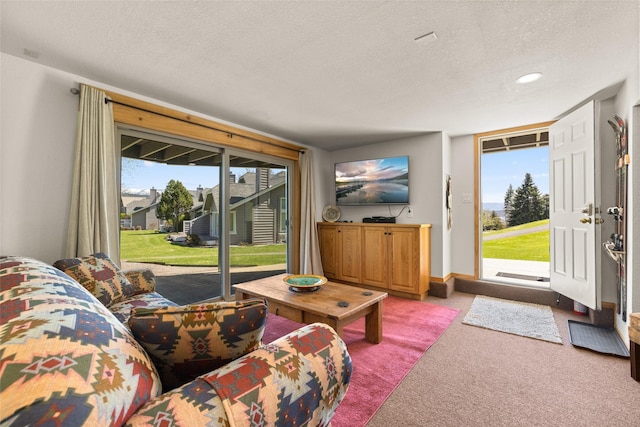 living room featuring a textured ceiling and carpet floors