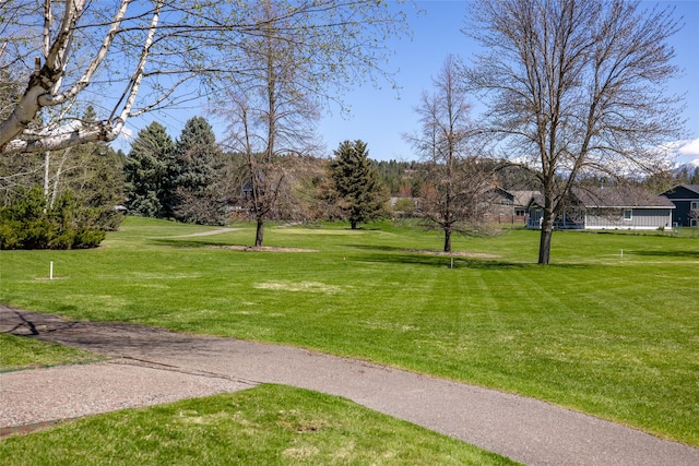 view of community with a lawn