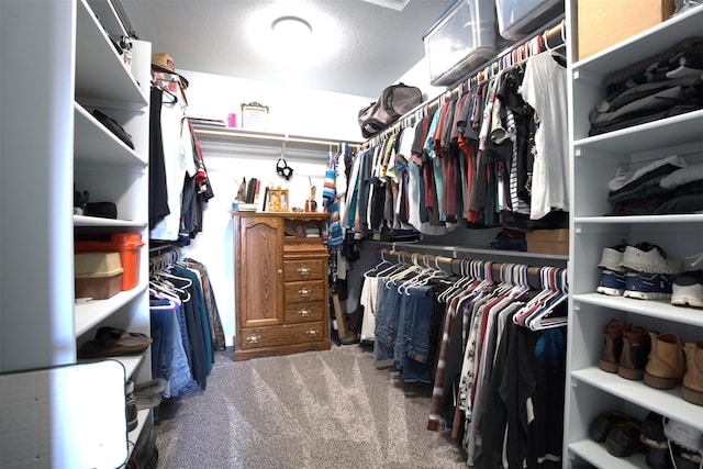 spacious closet featuring carpet flooring