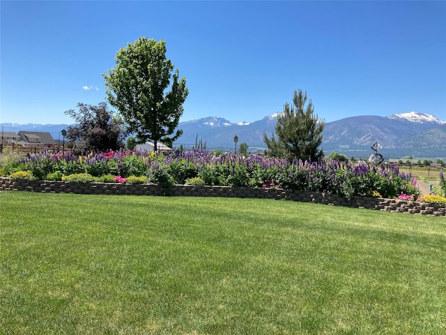 view of yard featuring a mountain view