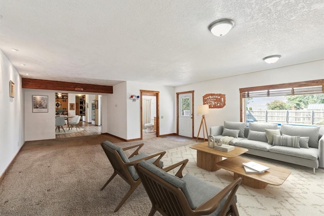 61574 Hillside Rd, Saint Ignatius, MT 59865 - living room featuring baseboards, light carpet, and a textured ceiling