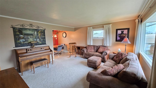 living area featuring crown molding, a wealth of natural light, and baseboards