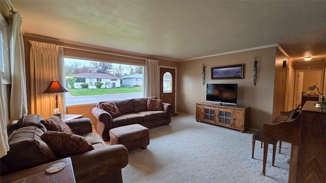 living room featuring carpet flooring, baseboards, and ornamental molding