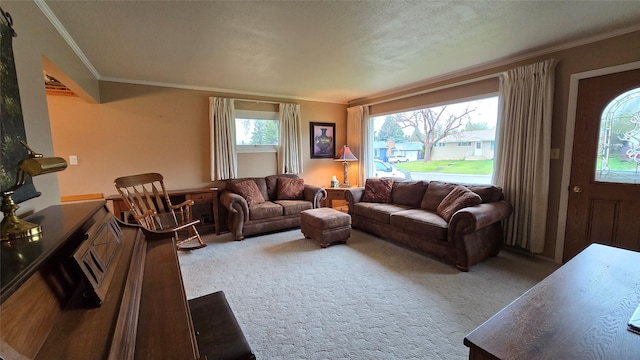 carpeted living room featuring ornamental molding