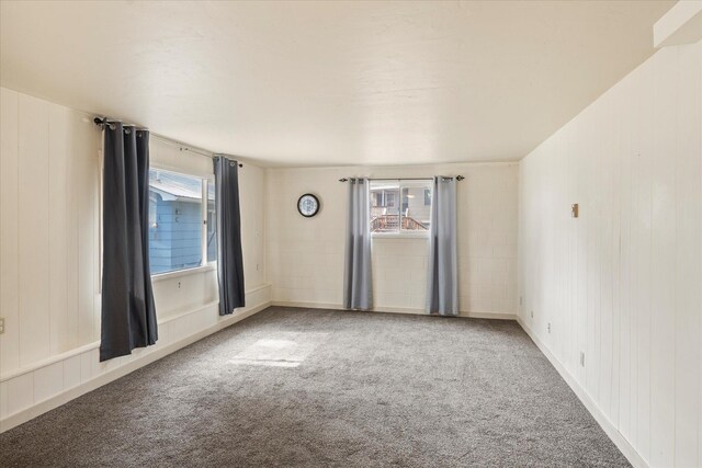 172 Holt Dr Unit A, B & C, Bigfork, MT 59911 - unfurnished room with carpet