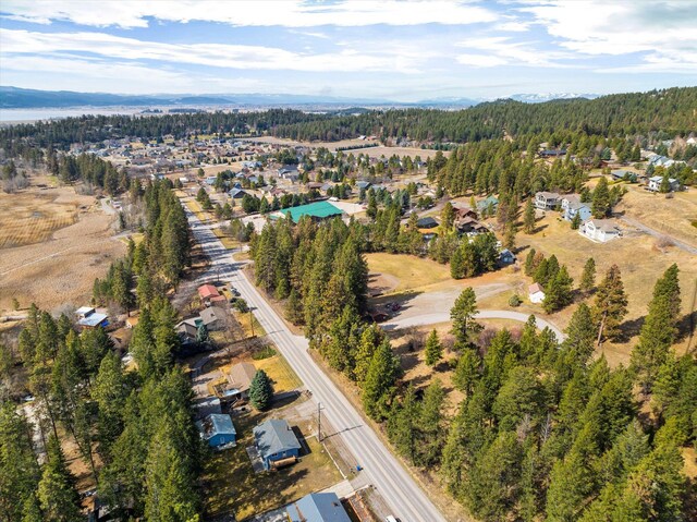 172 Holt Dr Unit A, B & C, Bigfork, MT 59911 - aerial view with a forest view