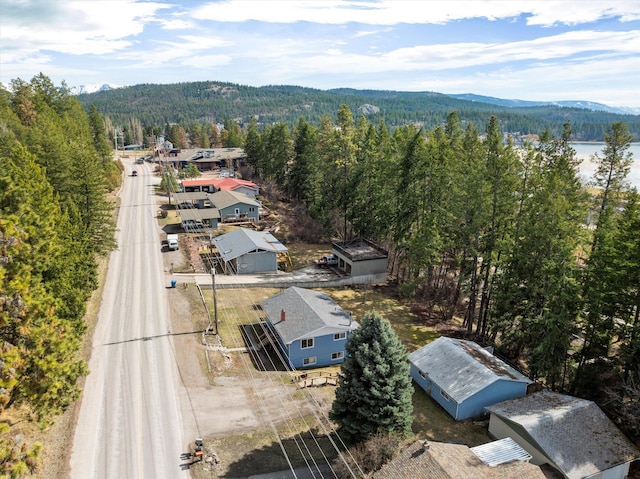 172 Holt Dr Unit A, B & C, Bigfork, MT 59911 - drone / aerial view with a view of trees and a mountain view