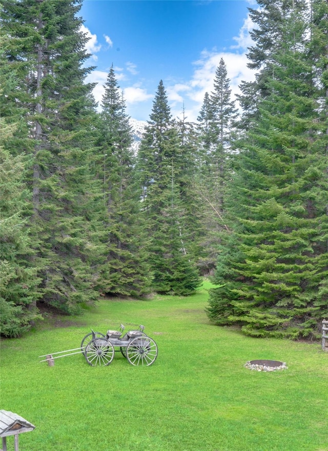 4212 Foothill Rd, Kalispell, MT 59901 - view of green lawn