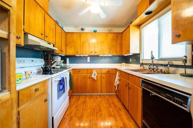 4420 7th Ave S, Great Falls, MT 59405 - kitchen featuring a sink, black dishwasher, under cabinet range hood, light wood-style flooring, and white range with electric stovetop