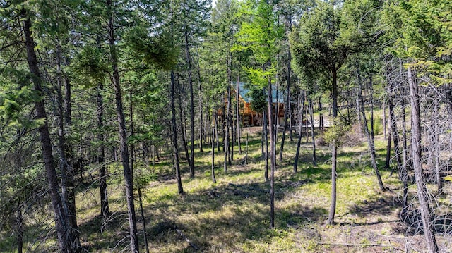 148 Muley Rd, Lakeside, MT 59922 - view of local wilderness featuring a wooded view