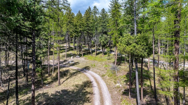 148 Muley Rd, Lakeside, MT 59922 - exterior space featuring a view of trees
