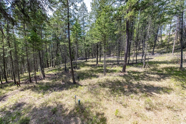 148 Muley Rd, Lakeside, MT 59922 - view of local wilderness featuring a view of trees