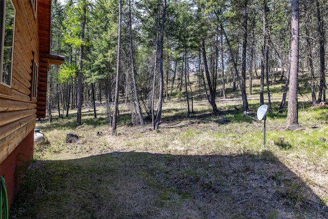148 Muley Rd, Lakeside, MT 59922 - view of yard