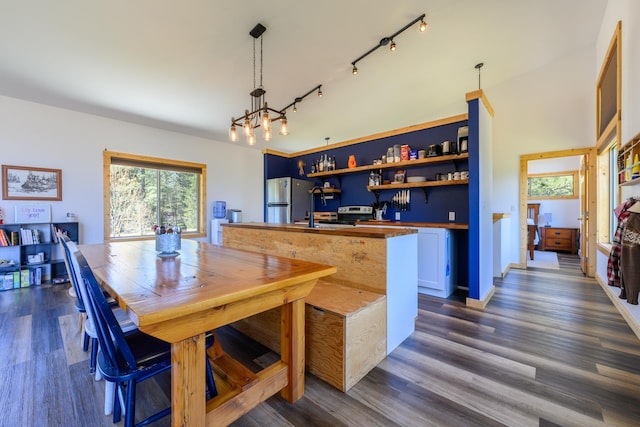 dining area with dark wood-style flooring, a wealth of natural light, and rail lighting