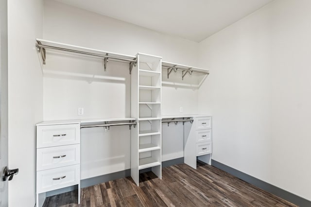 spacious closet featuring dark wood-type flooring