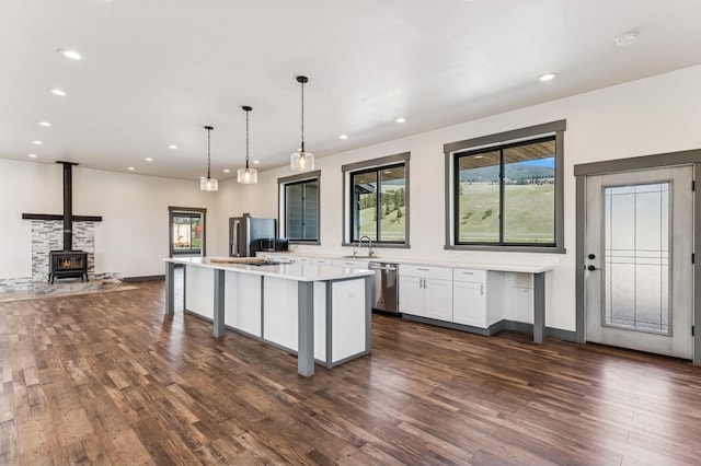 kitchen featuring dark wood finished floors, stainless steel appliances, and a healthy amount of sunlight