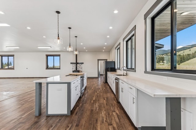 kitchen featuring a sink, stainless steel appliances, dark wood-style flooring, open floor plan, and white cabinets