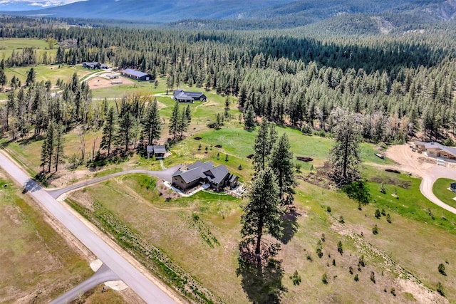 bird's eye view with a mountain view and a view of trees
