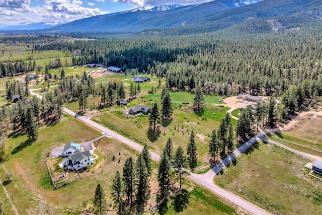 drone / aerial view featuring a mountain view and a view of trees