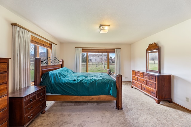6280 Alamosa Ln, Bozeman, MT 59718 - carpeted bedroom featuring multiple windows, access to outside, and baseboards
