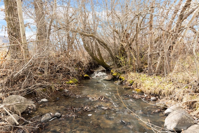 6280 Alamosa Ln, Bozeman, MT 59718 - view of local wilderness
