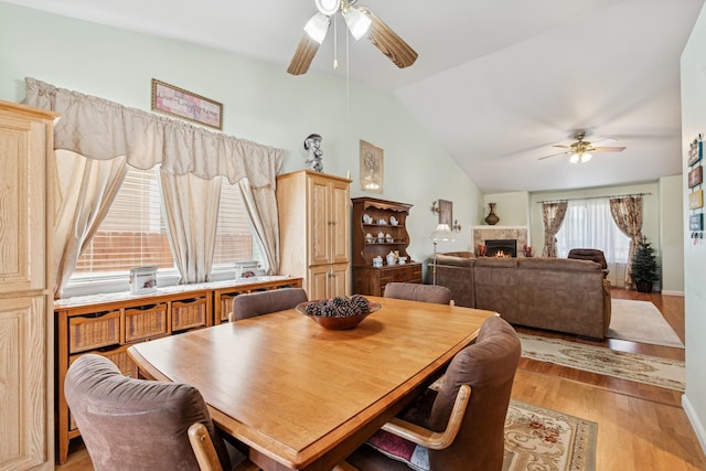 dining area with lofted ceiling, a warm lit fireplace, a ceiling fan, and light wood-style flooring