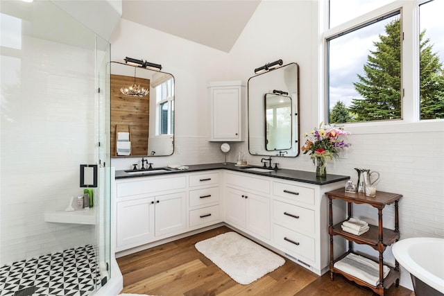 full bathroom with a sink, a wealth of natural light, and a shower stall