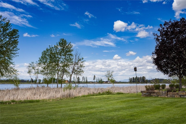 316 Canal St, Bigfork, MT 59911 - water view