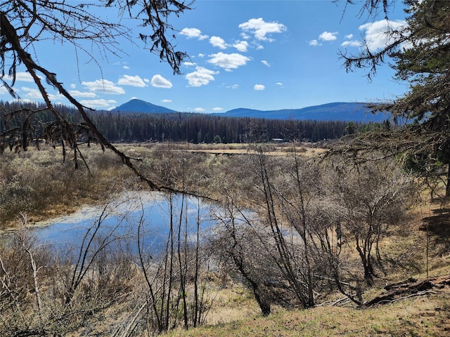 water view featuring a forest view and a mountain view